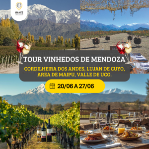 TOUR VINHEDOS DE MENDOZA  - MENDOZA TERRA DO SOL E DO VINHO \ CORDILHEIRA DOS ANDES \ LUJAN DE CUYO \ AREA DE MAIPU \ VALLE DE UCO